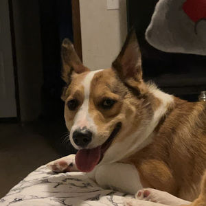 Meet your Posher, Eduardo